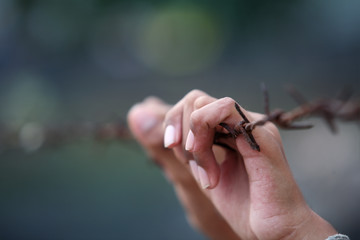 hand holding rusty barbwire.