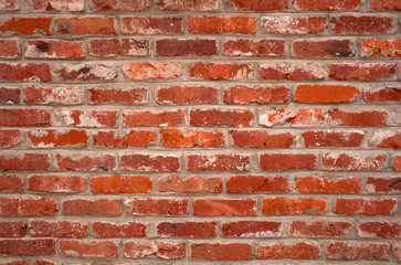 Fototapeta premium Red brick wall