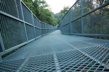 bridge of iron in the forest 
