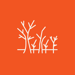 Tree with bare branches line icon.