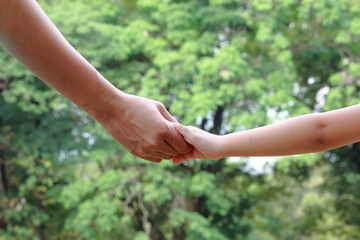 Fototapeta na wymiar Adult And Child Holding Hand Together