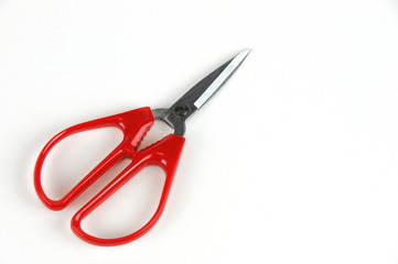 office scissors on white background