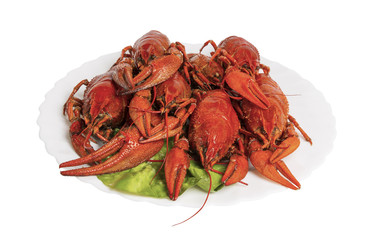 Boiled crayfishes on the plate, isolated