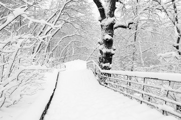 Лестница в парке засыпанная  снегом