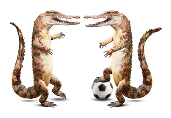 Vlies Fototapete Krokodil Krokodil-Fußballspieler