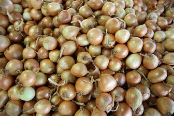 Fresh Onions on farmers market. Melbourne