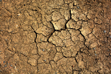abstract wheel trail, dry soil, sweet dreamy