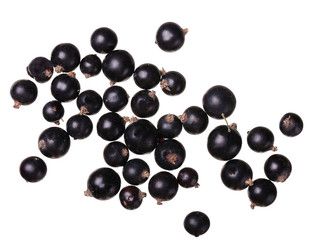 Black currants isolated on white