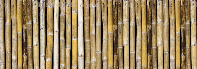 bamboo fence background