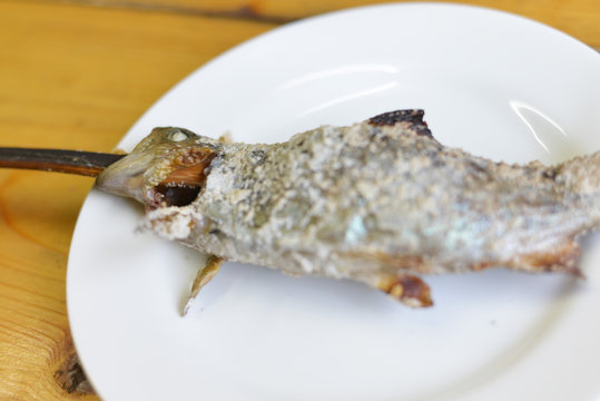 魚の丸焼き Photos Royalty Free Images Graphics Vectors Videos Adobe Stock