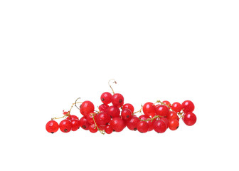 Branches of berry red currants isolated on a white background