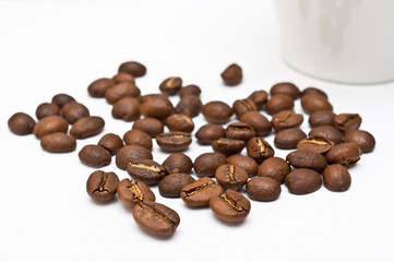 Kaffeebohnen freigestellt