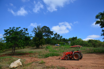 Wheel Dozer tractor in natural and mountain