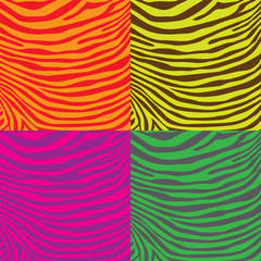 Colorful zebra stripes pattern, illustration