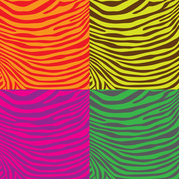 Colorful zebra stripes pattern, illustration