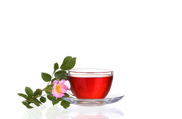 Herbal tea isolated on white background