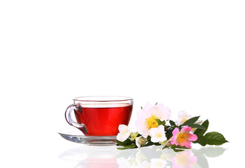 Obraz na płótnie Canvas Herbal tea isolated on white background