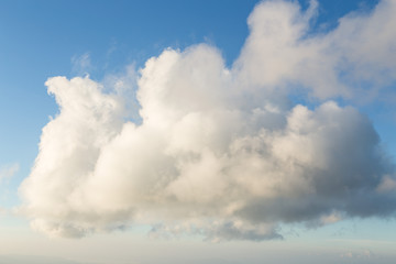 Obraz premium Abstract animals monsters shape clouds in clear blue sky