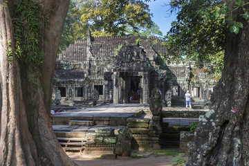Ancient temple between trees