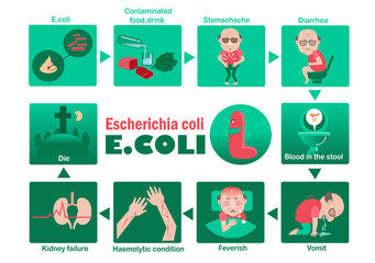 E. coli symptom of Patients Escherichia coli Info Graphic.vector illustration.