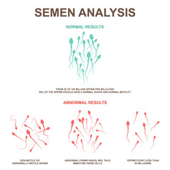 normal and abnormal sperm