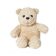 teddy bear on white background