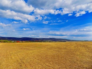 Obraz premium Field, forest and sky