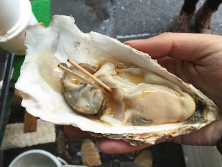 Fresh giant oyster 