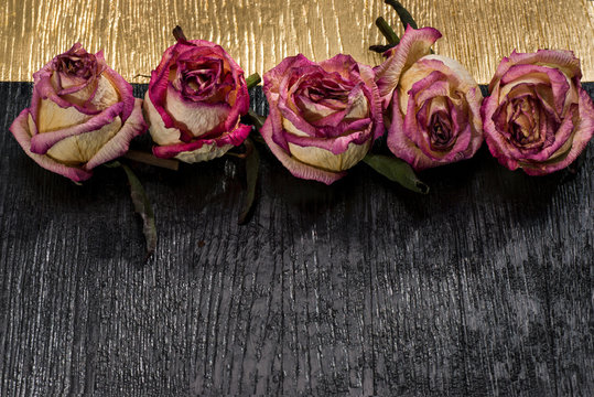 Dried Buds Of Pink Roses On A Black And Gold Board