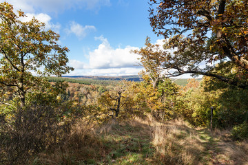 Blick Selketal im Herbst