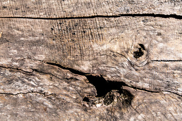 Surface of timber background,wood background.