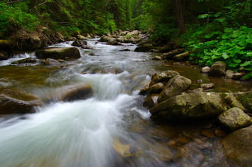 Obraz premium Mountain river