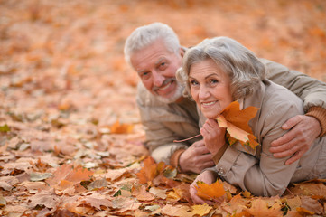 Senior couple in autumn park