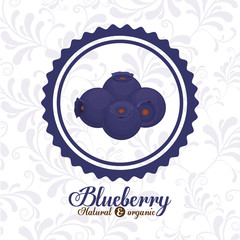 delicious blueberry design 