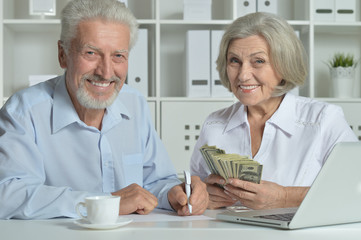 senior couple with laptop and money