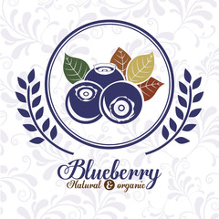 delicious blueberry design 