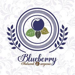 delicious blueberry design 