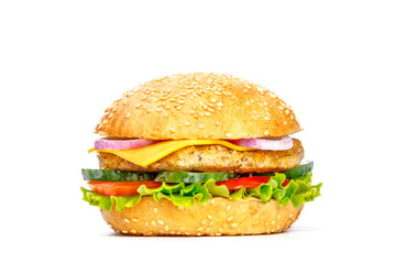 Burger isolated