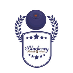 delicious blueberry design 
