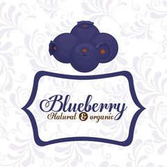 delicious blueberry design 