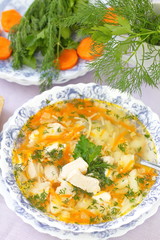 Chicken soup with vegetables