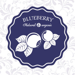 delicious blueberry design 
