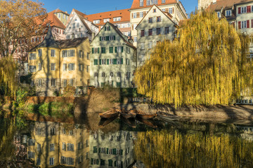 Naklejka premium Tübingen, Stocherkähne