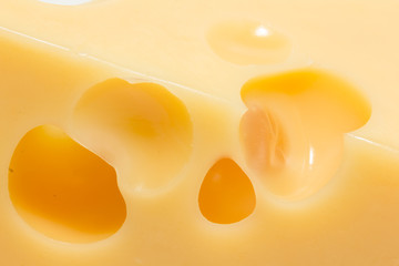 Hard cheese  with holes close up texture