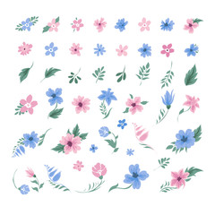 Set of Flowers for Decoration and Greeting Cards