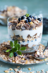 Sojajoghurt mit Müsli und Heidelbeeren