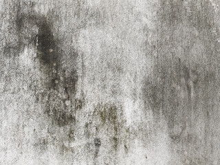 Dirty white wall