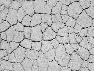 Asphalt texture with cracks