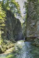 Naklejka na ściany i meble Vintgar gorge, wooden path and river Radovna. Bled, Slovenia.