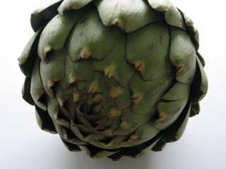 Fototapeta premium Artischocke